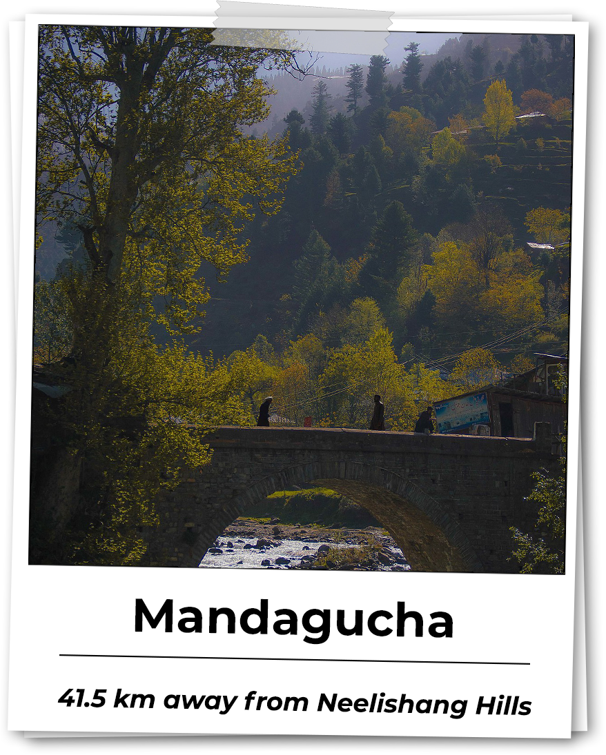 mandagucha